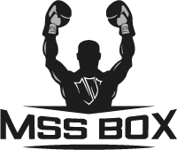 Logo: MSS - Box